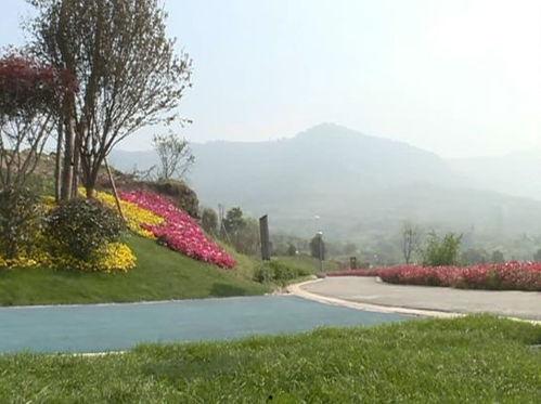 莲花湖公园吃瓜视频,一场别开生面的吃瓜盛宴