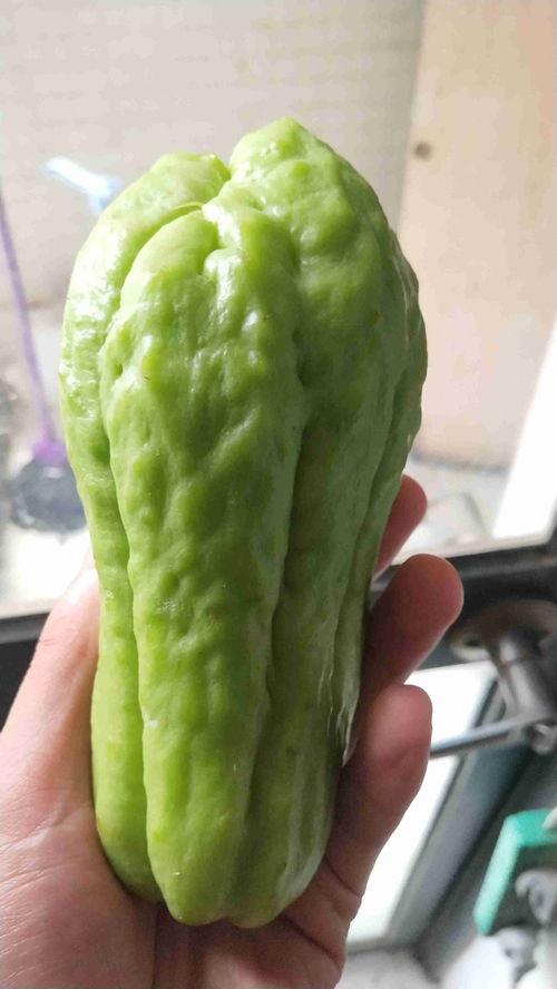 扶手瓜怎样吃才好,这样吃最营养