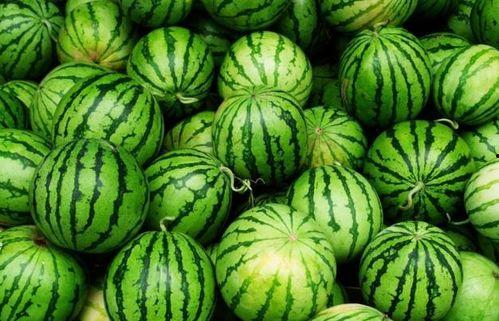 吃瓜老四,网络红人的崛起与影响力