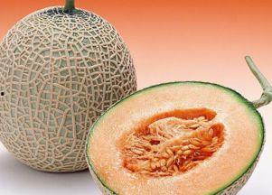 meiko吃哈密瓜,甜蜜滋味传递正能量