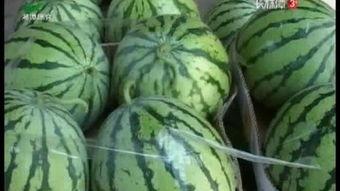 口腔科吃瓜,揭秘牙医日常那些温馨瞬间