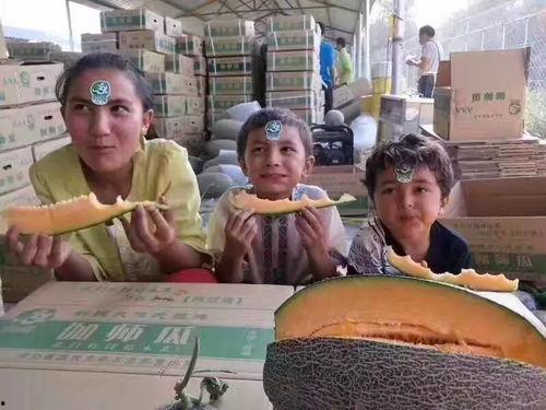 柳州打架吃瓜,吃瓜群众围观打架事件