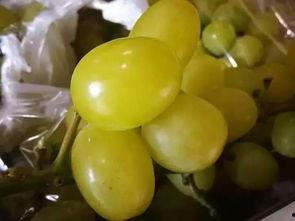 柳州打架吃瓜,吃瓜群众围观打架事件