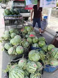 莱州沙河事件吃瓜,揭秘背后真相，吃瓜群众围观