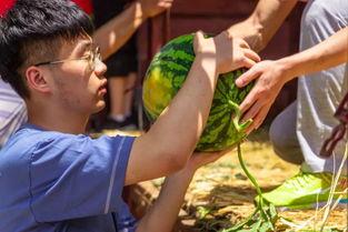 各大学吃瓜视频,揭秘各大校园吃瓜视频背后的故事