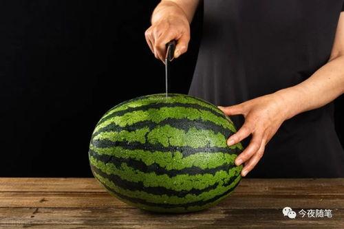 抢吃瓜,抢吃瓜大战一触即发